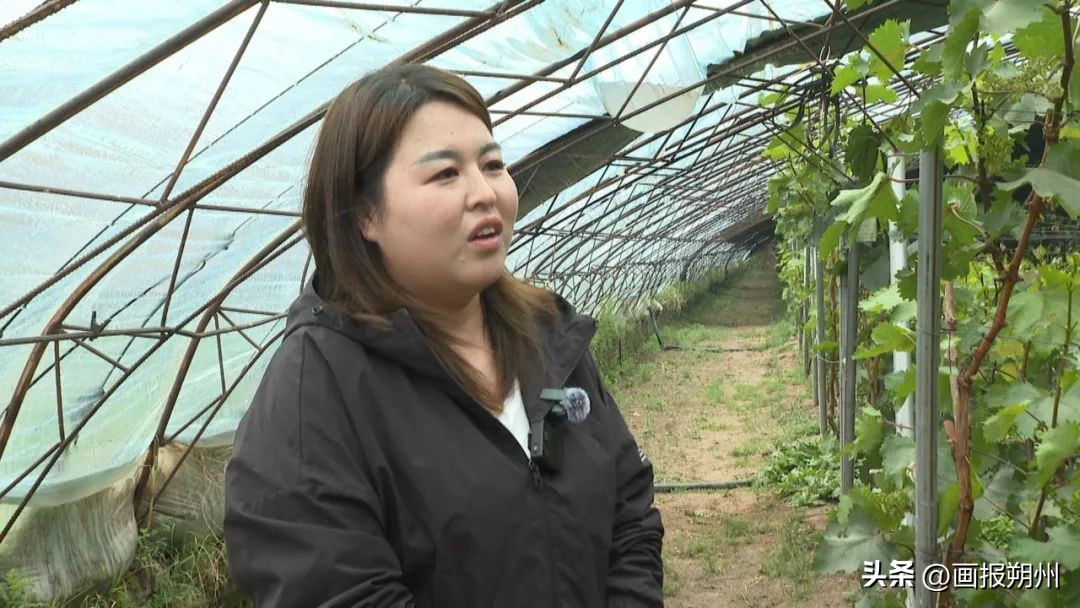 新农人夫妻档全集,新农人田间地头夫妻视频