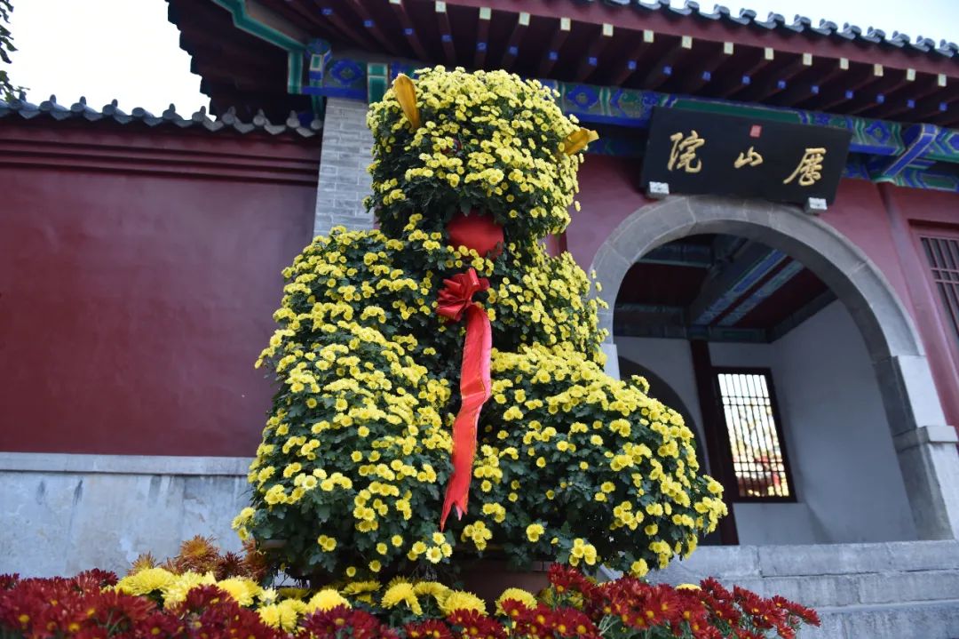 济南网上预约免费公园门票,济南免费预约景区门票官网