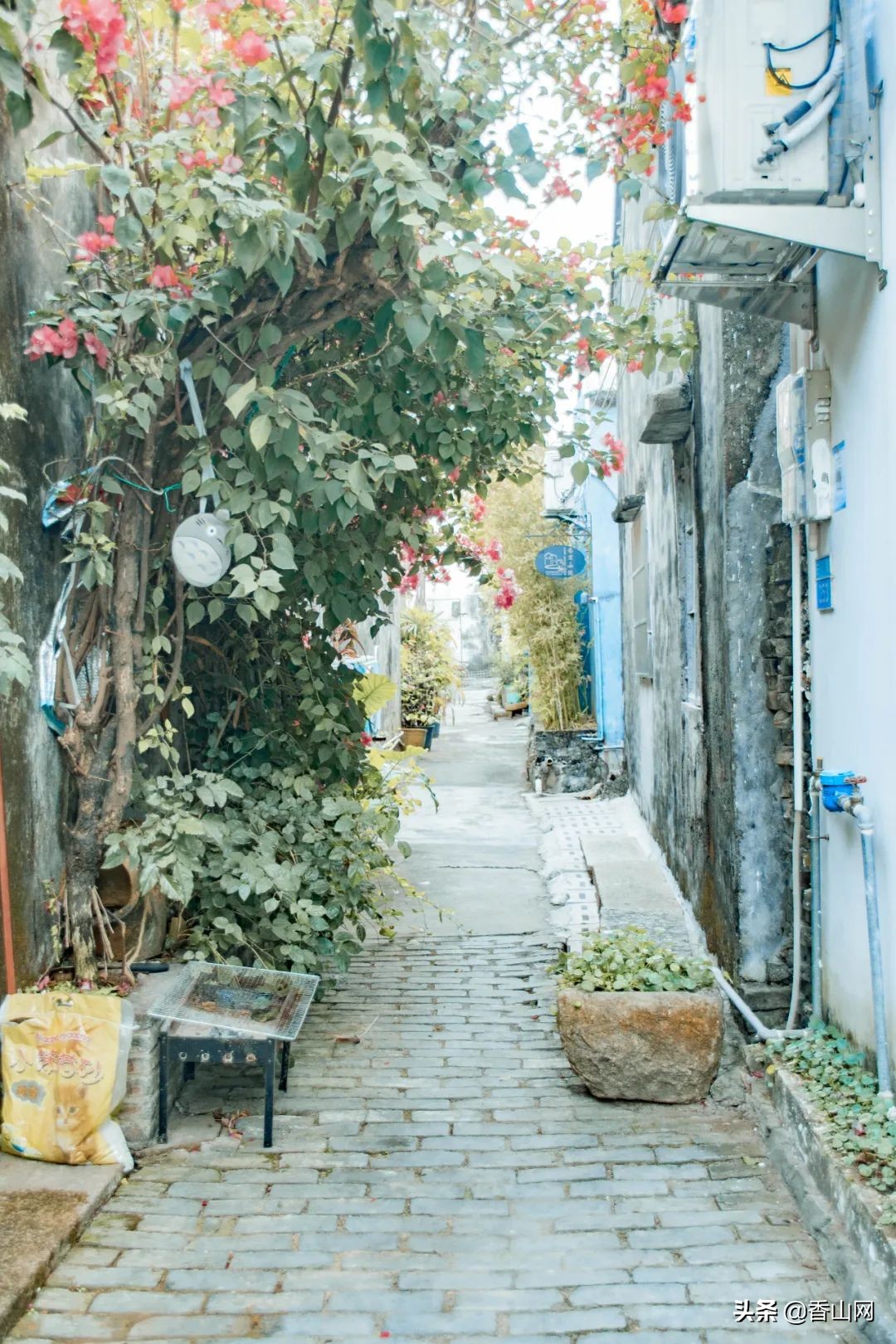 珠海值得去的海岛,珠海最适合游玩的海岛