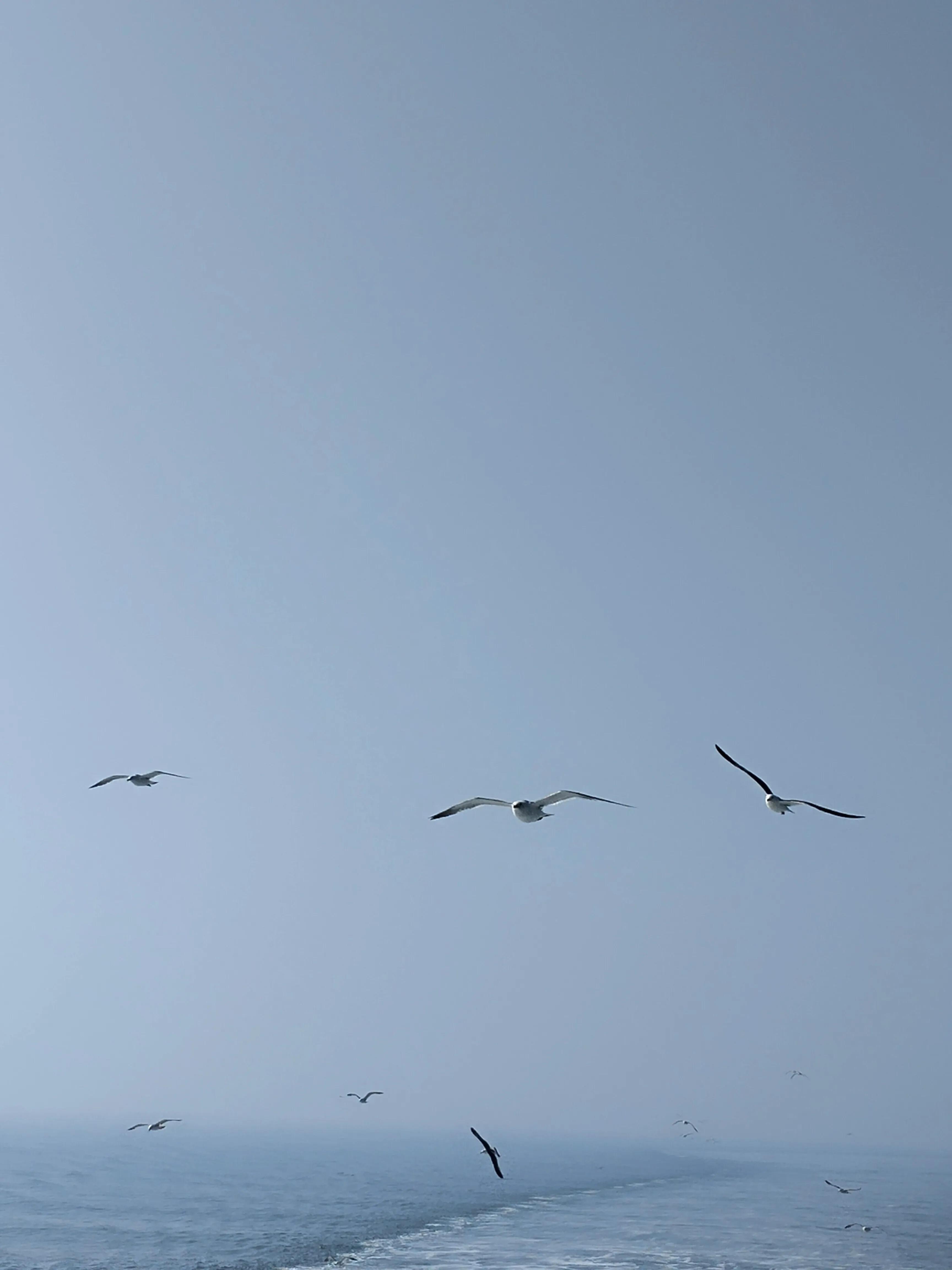 长岛旅游九丈崖,长岛一日游烟台的海