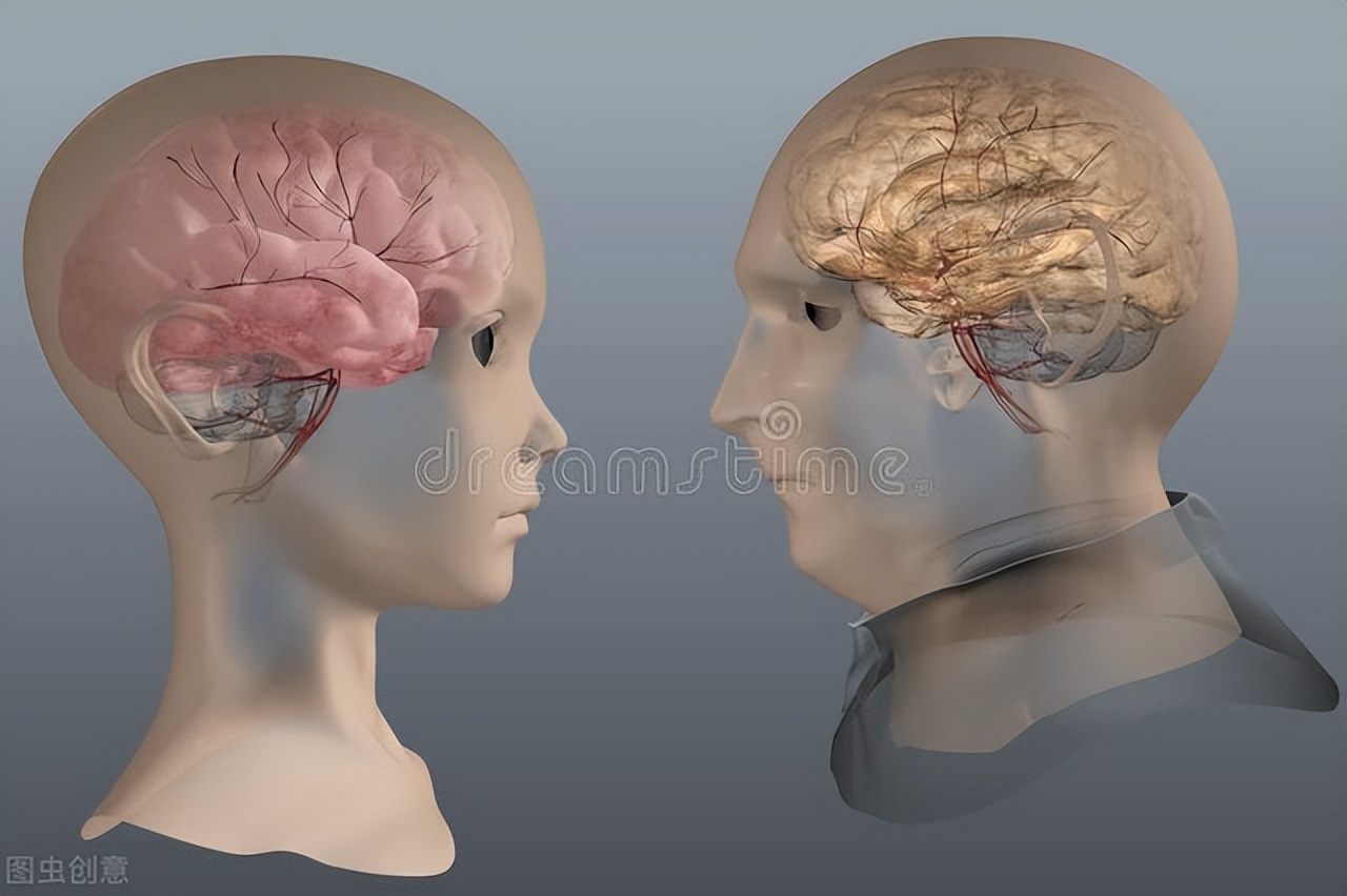 慢性心房颤动的诊疗指南,心房颤动诊断和治疗中国指南2023