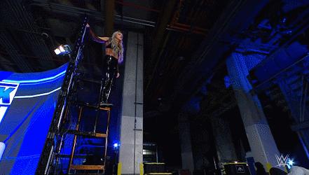 wwe雷尔转会,wwe最新一期雷尔