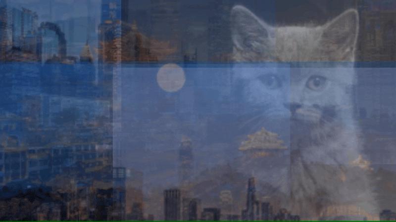 wpsppt多图排版布局,ppt10张多图排版技巧