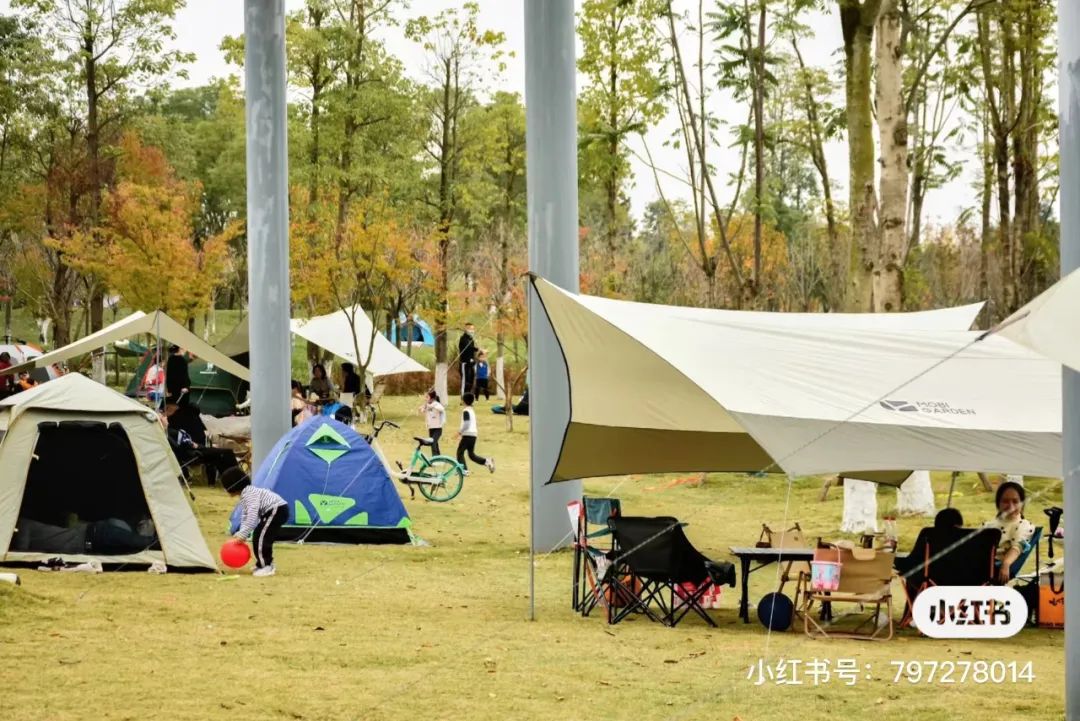 成都免费露营地推荐过夜,成都周边露营地推荐自驾