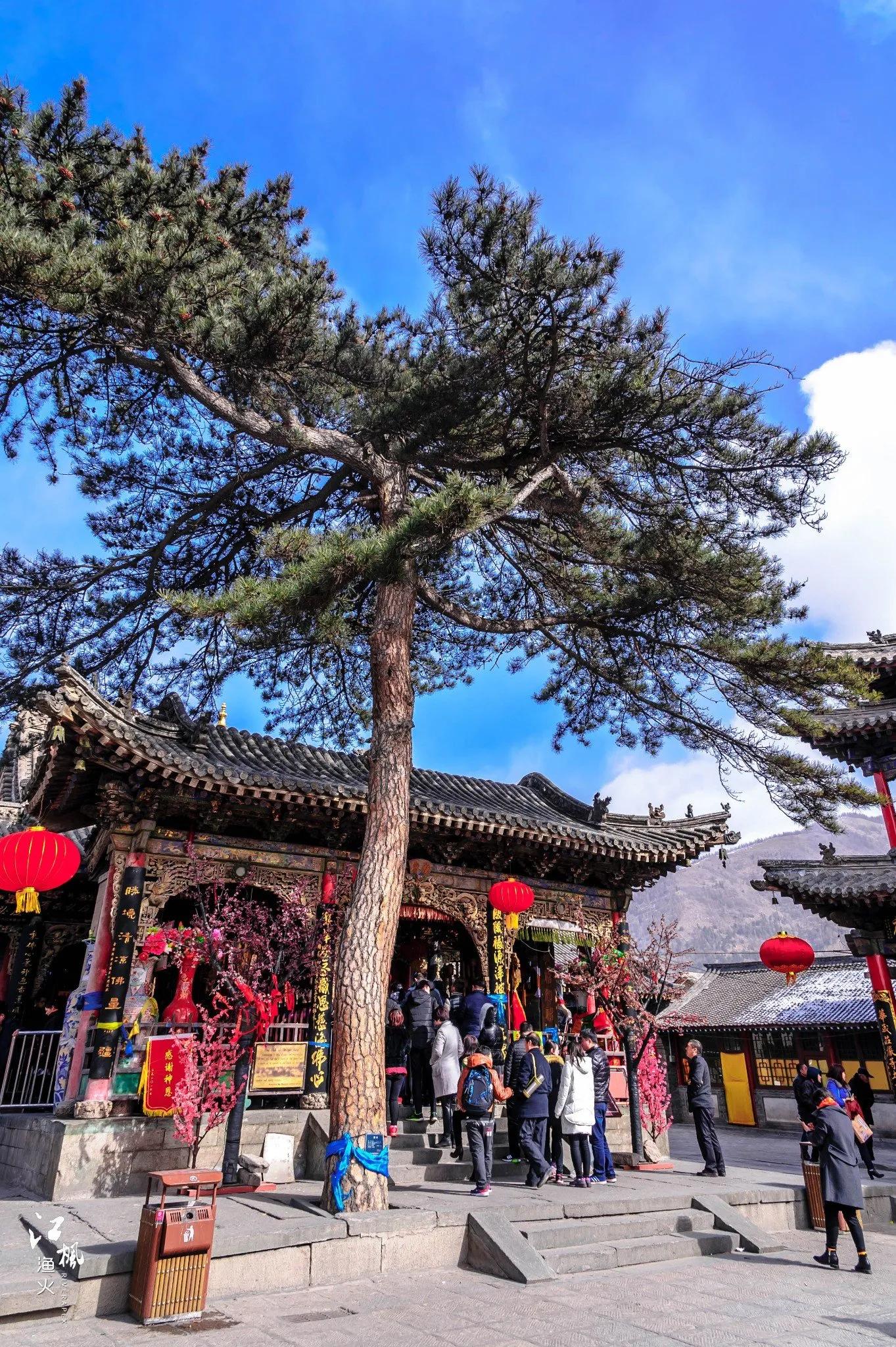 大唐诗社|送别五台山大喇嘛常青法师