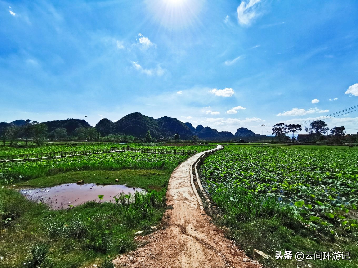 「流离在核酸检测时代的旅行」(普者黑）