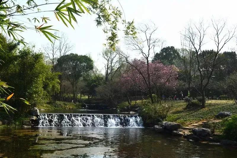 大草坪放风筝,草坪大风筝