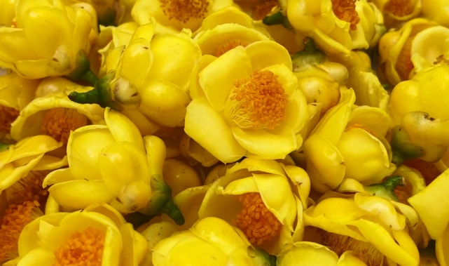 康仔身家,康仔有多少资产