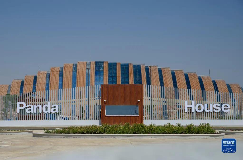 熊猫抵达卡塔尔,熊猫抵达卡塔尔受当地民众欢迎