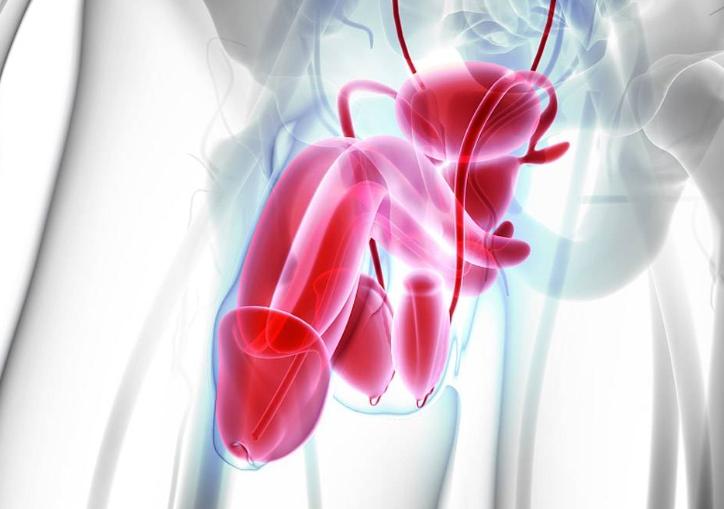 年纪大了生理功能变弱怎么办,年纪大了生理功能变弱吃什么药