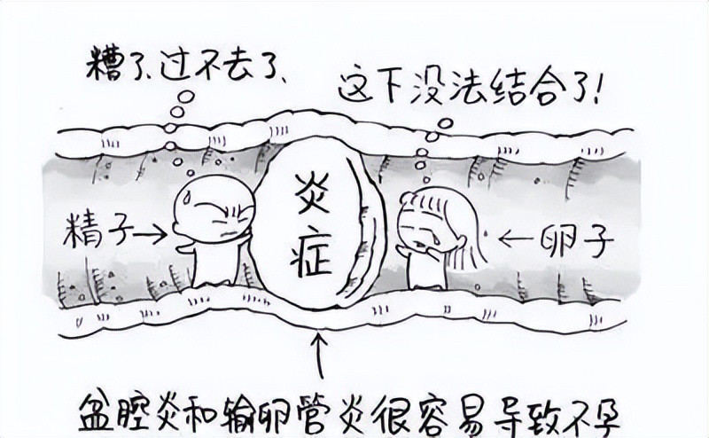 阴道菌群对女性生育的影响