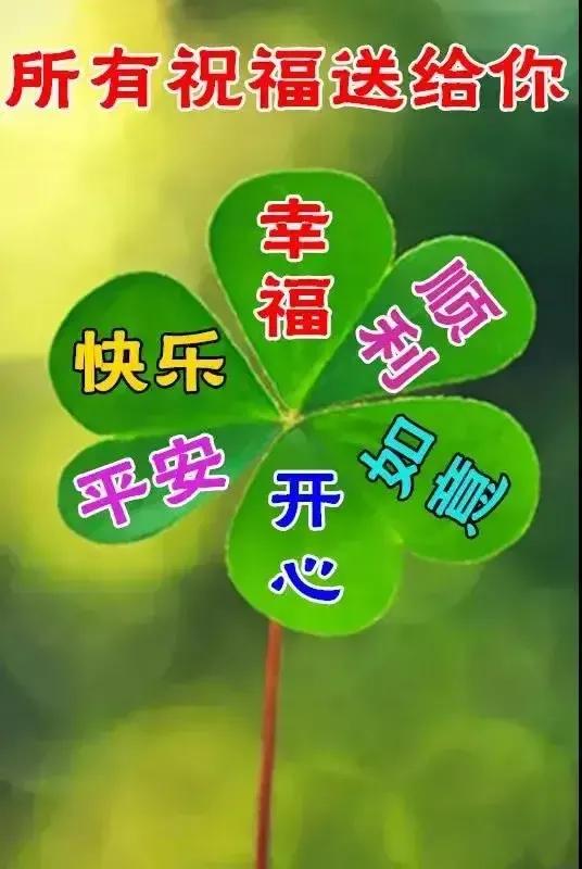 2023年02月27日星期一农历:癸卯年【兔年】二月初八八九第5天