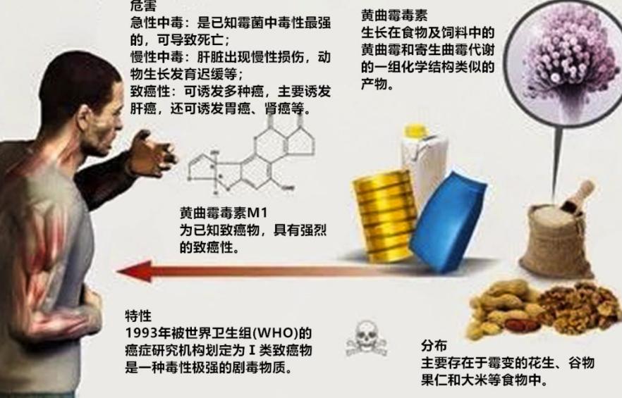 被世卫公认的一级致癌物是啥,一级致癌物被曝光