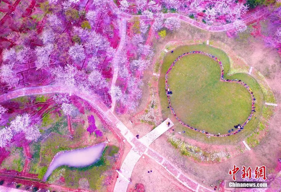 二十四节气从立春开始到大寒,二十四节气歌立春大雪