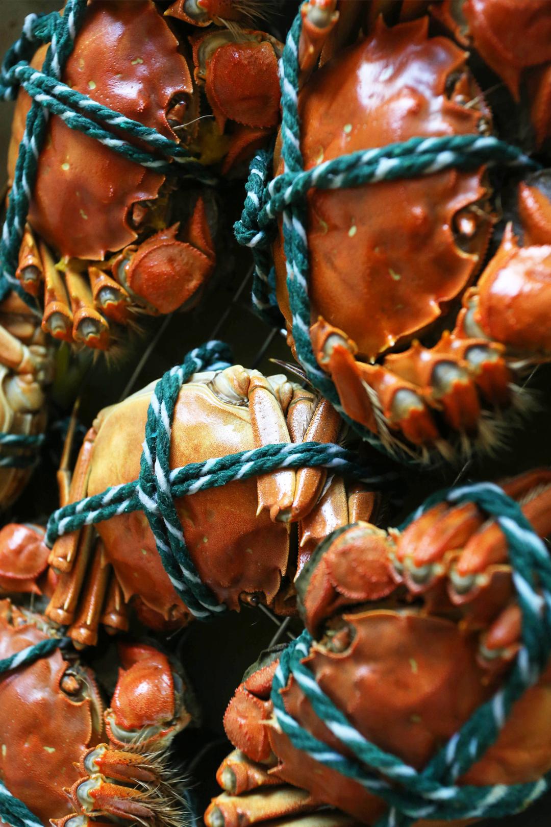 江苏宿迁最强县,江苏宿迁地道美食