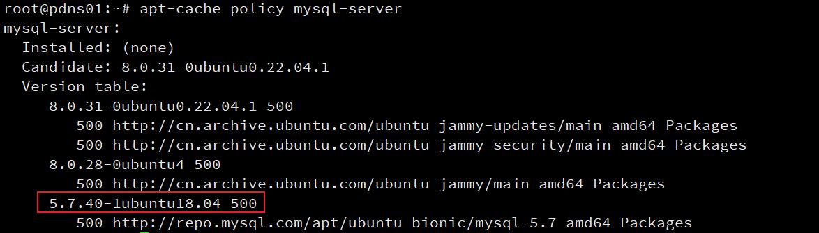 dns初学者教程免费,dns项目详细讲解