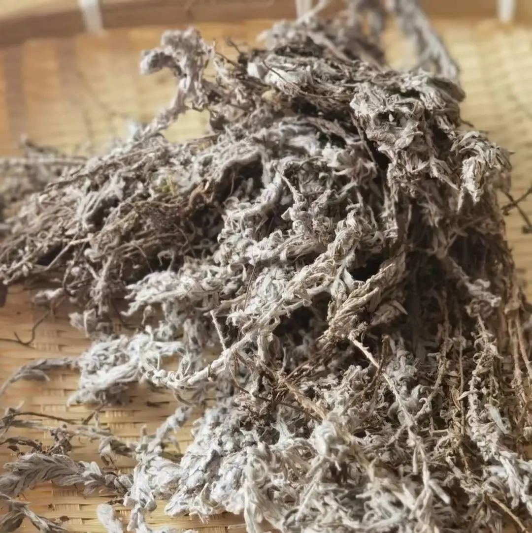 二十四节气白露书签高难度,二十四节气白露酒