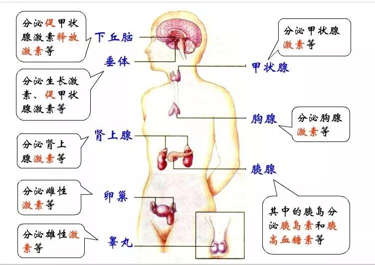 就诊指引，看病再也不挂错号