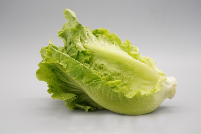 海底捞8块钱生菜，仅两片菜叶，女子疯狂吐槽，上热搜