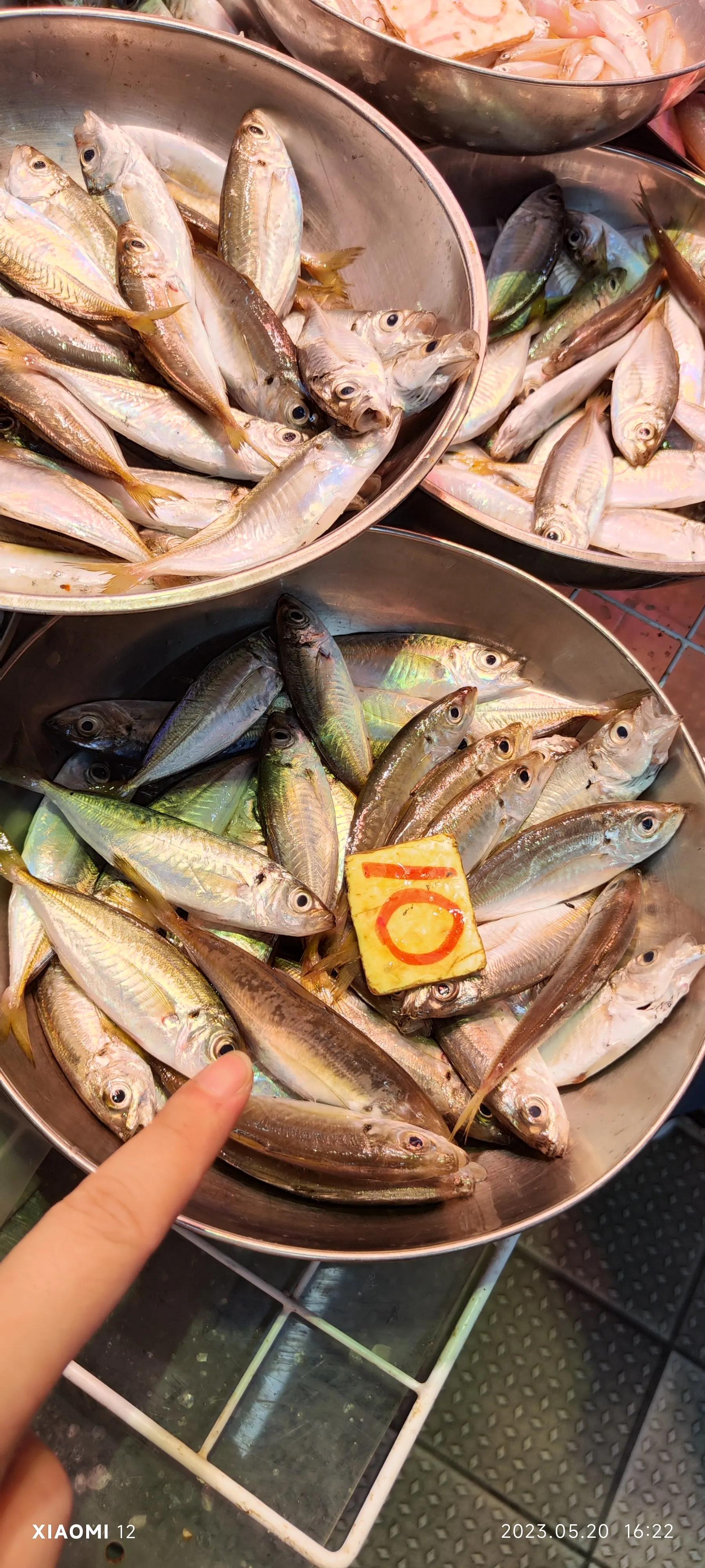 香港大围自由行，重点关注了药品、肉菜以及免税店里香烟的行情