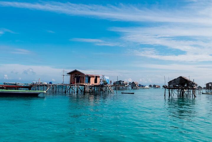 广西渔民误捕棘皮海星,广西渔民误捕鲛人图案