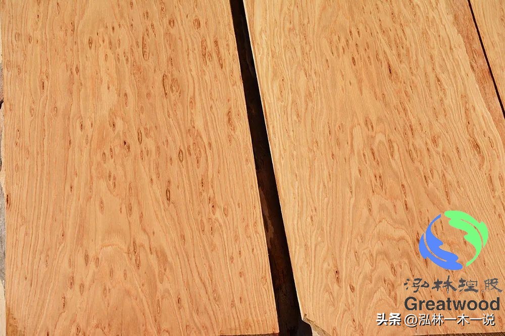 欧洲贵妇出轨被发现,欧洲白富美