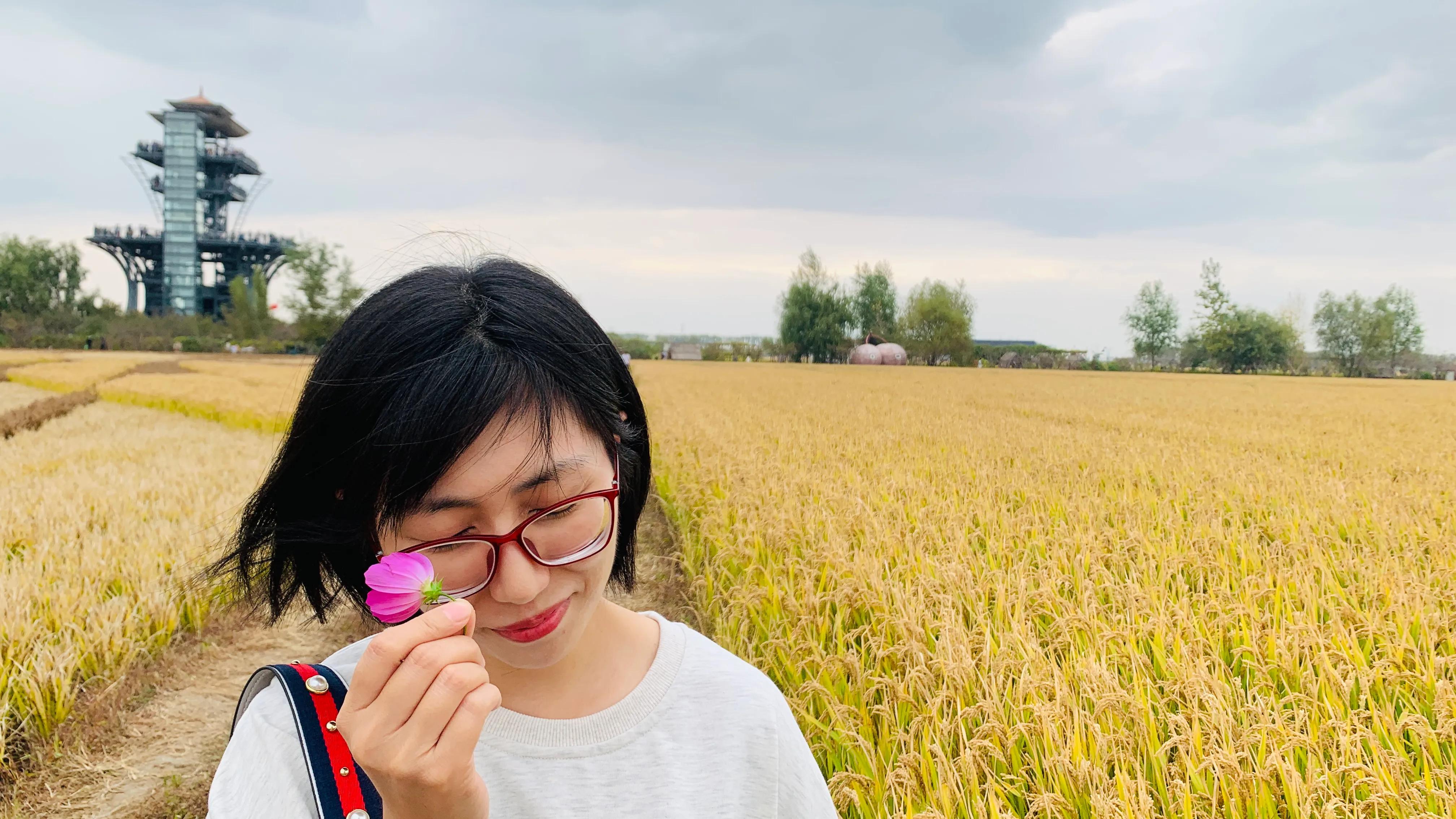 沈阳旅游景点稻梦空间,沈阳稻梦空间一日游攻略