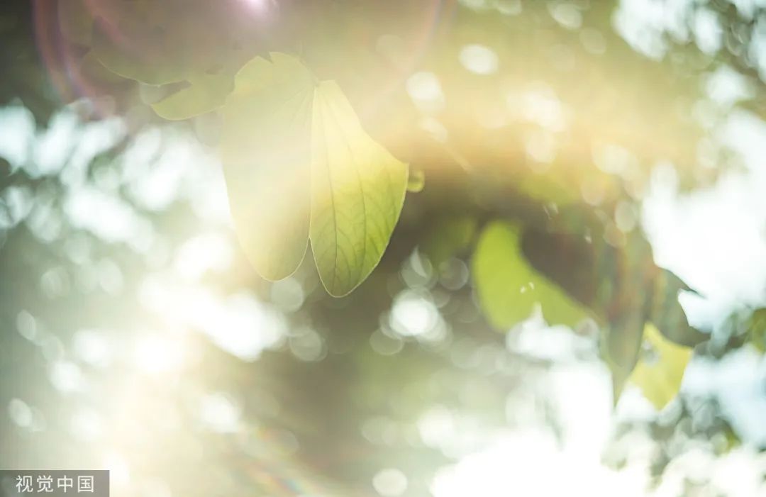 10个不得不知的古代文学典故,中国古代十大名曲的典故