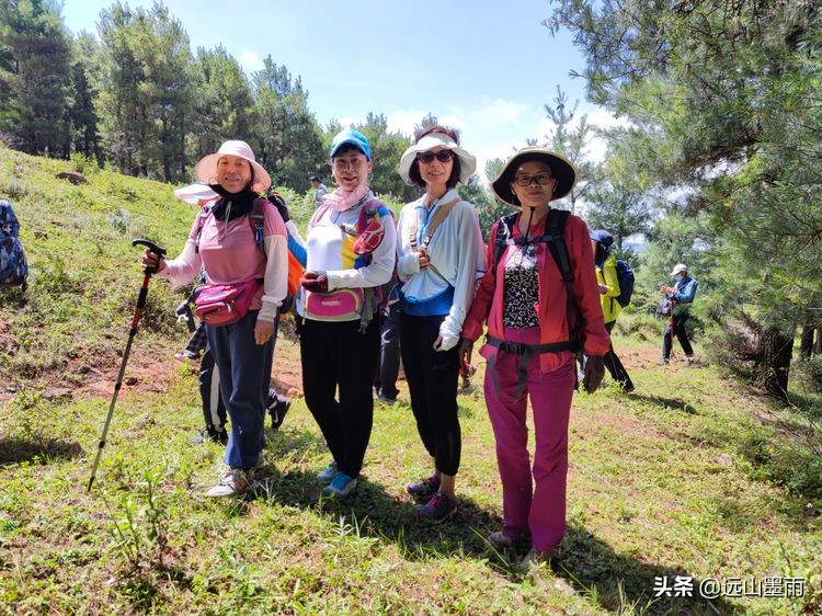 蓝天白云绿草间,蓝天白云草原绿草茵茵风景秀丽
