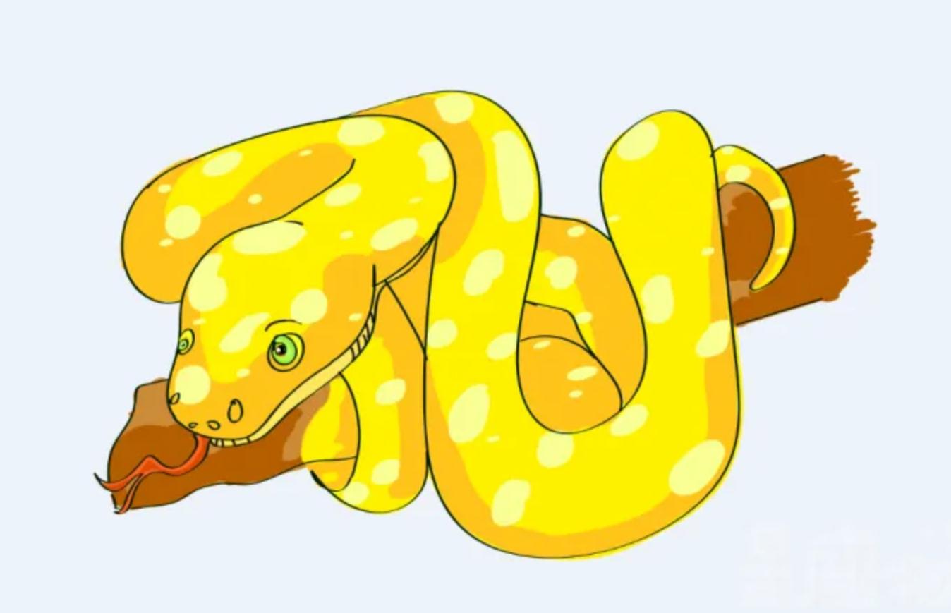 被蛇吞了肚子的科学实验,被蟒蛇吞下的24小时实验