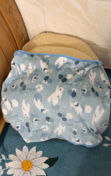 养猫省钱妙招排毛球,养猫不掉毛妙招有哪些方法