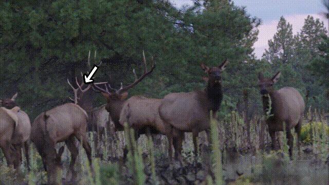 超级血液代表着什么,超级血液是啥