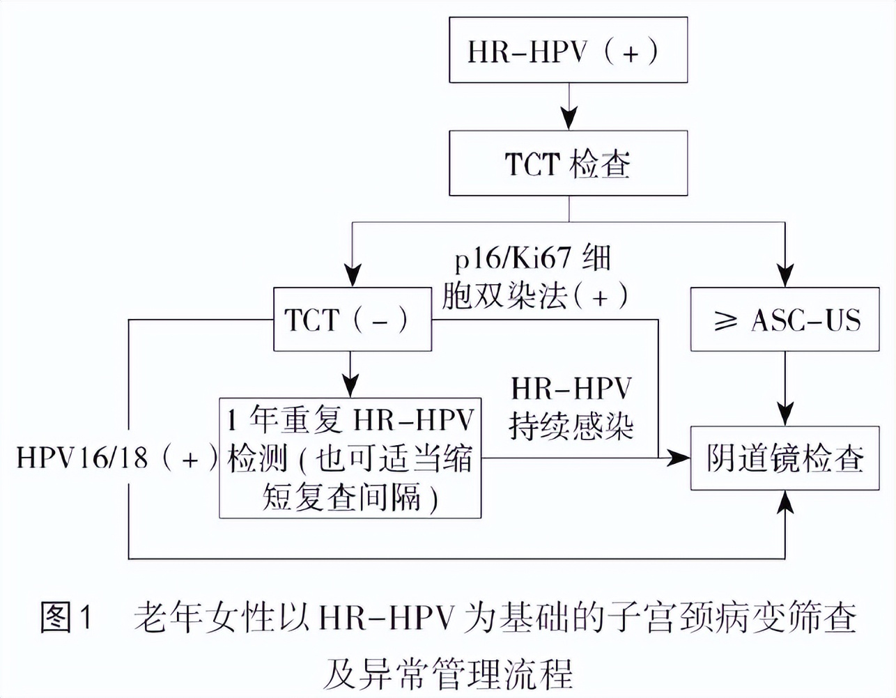 老年人宫颈筛查包含哪些项目,老年人子宫怎么检查