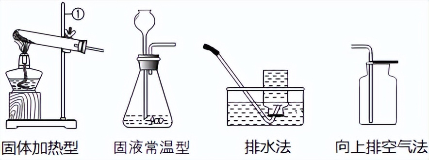 科学知识大全小学生必背,科学知识大全全集