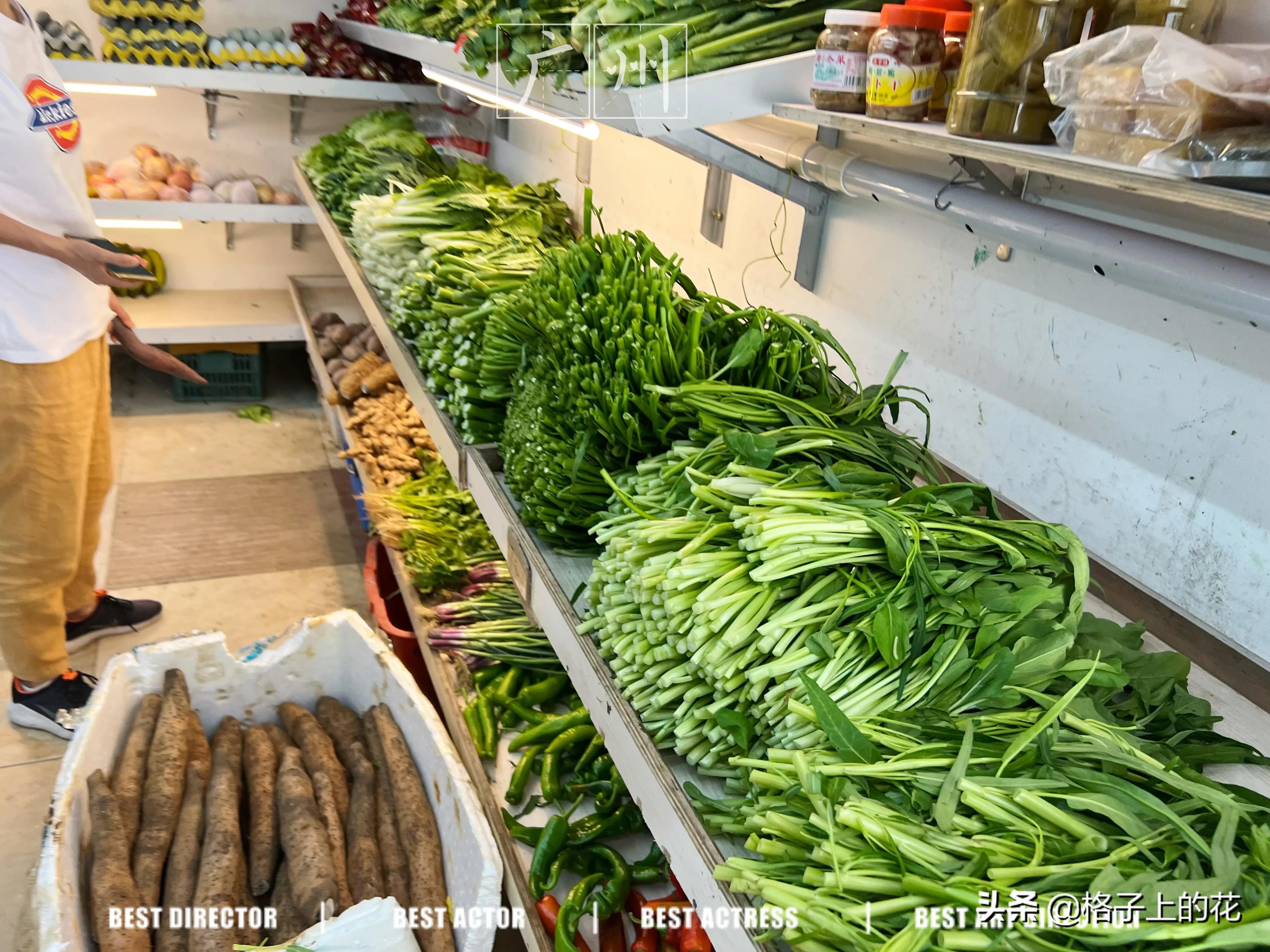 广州菜市场有多离谱,广州菜市场切肉