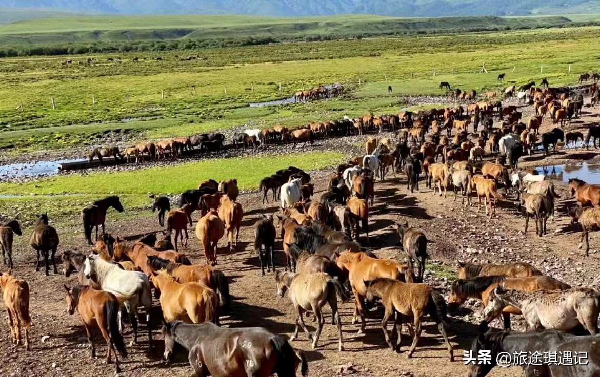 汉朝把匈奴打到焉支山,匈奴失去焉支山