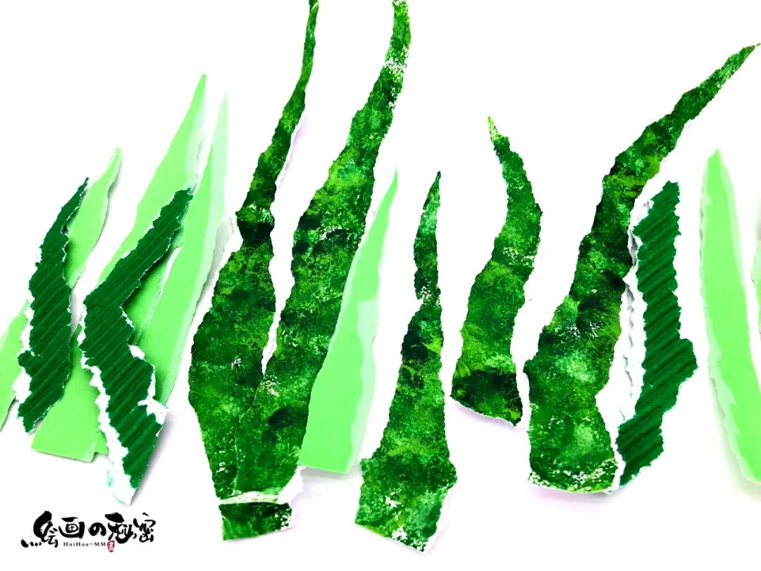 春天的花花草草,春天的花花草草真美丽