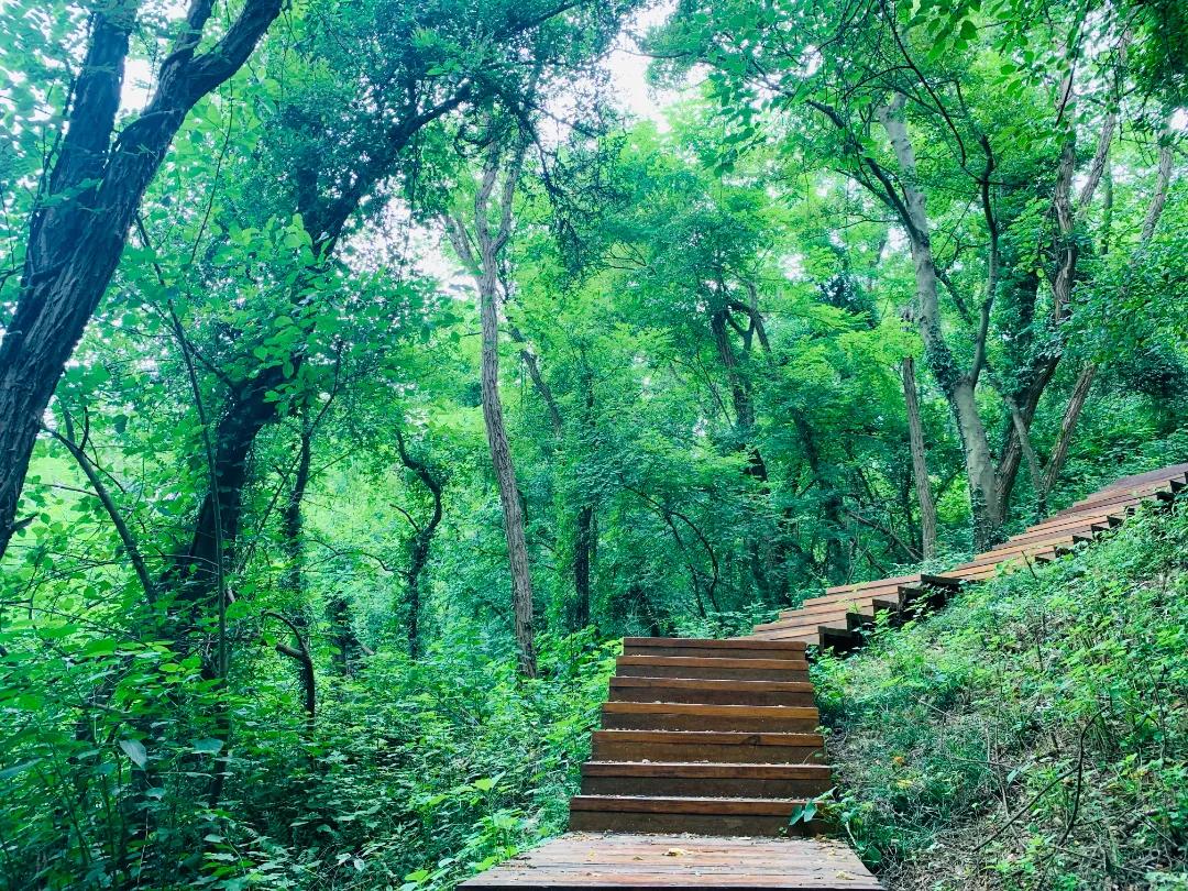 南京塑胶健身步道,10条南京最美步道