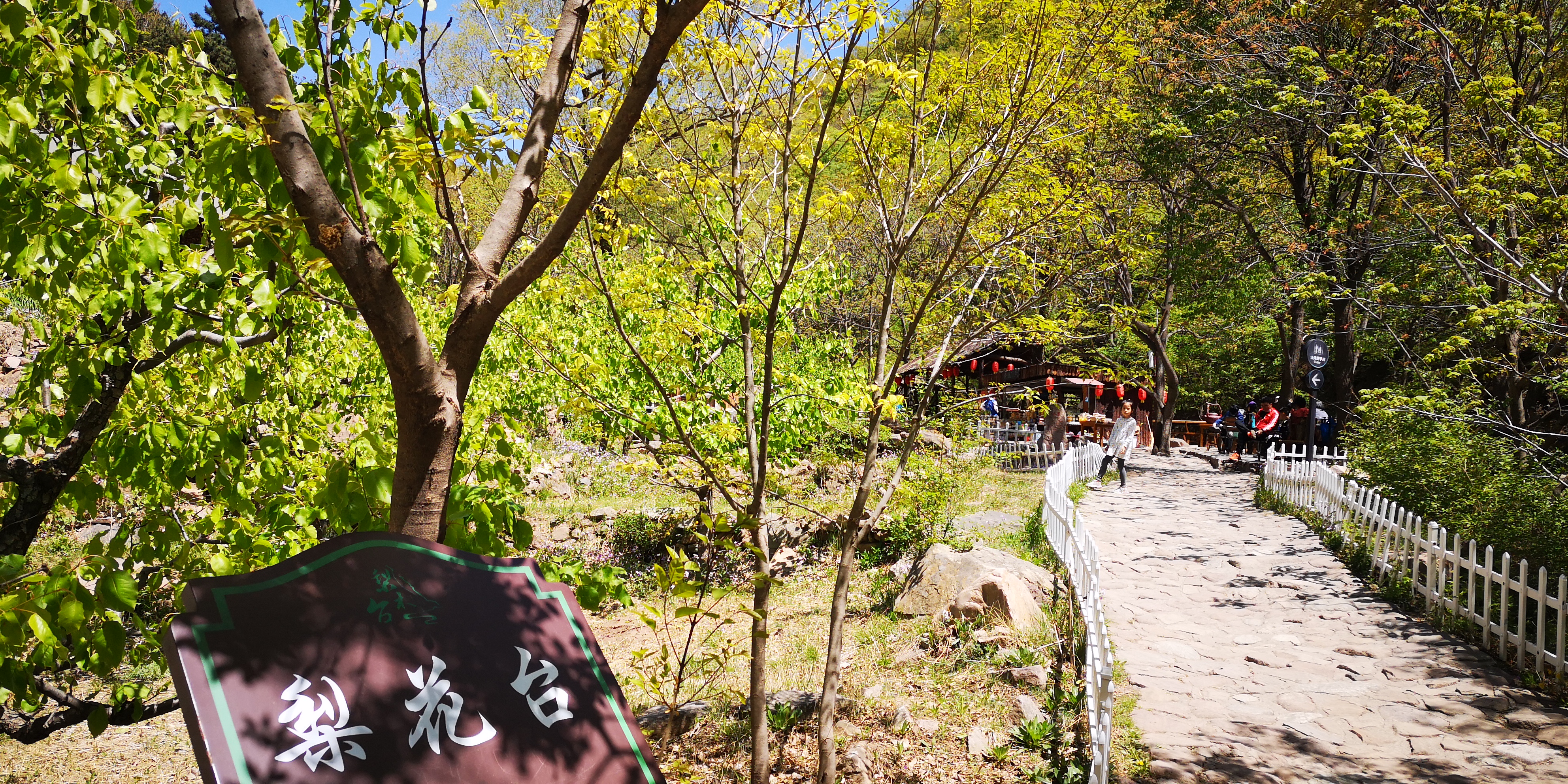 天津梨木台景区值得夏天去的地方,天津蓟县梨木台风景区路线