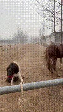 鍖绘姢浜哄憳鑱屼笟鏆撮湶鎰熸兂,鍖绘姢浜哄憳鑱屼笟鏆撮湶鏁堟灉璇勪环