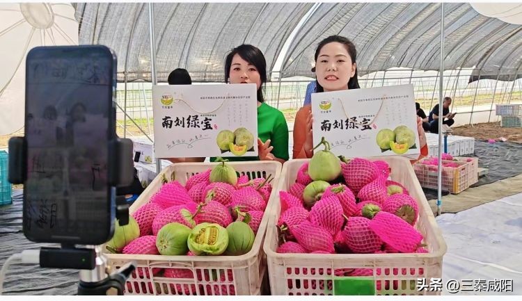 网络直播对乡村振兴的意义,网络直播助力乡村振兴