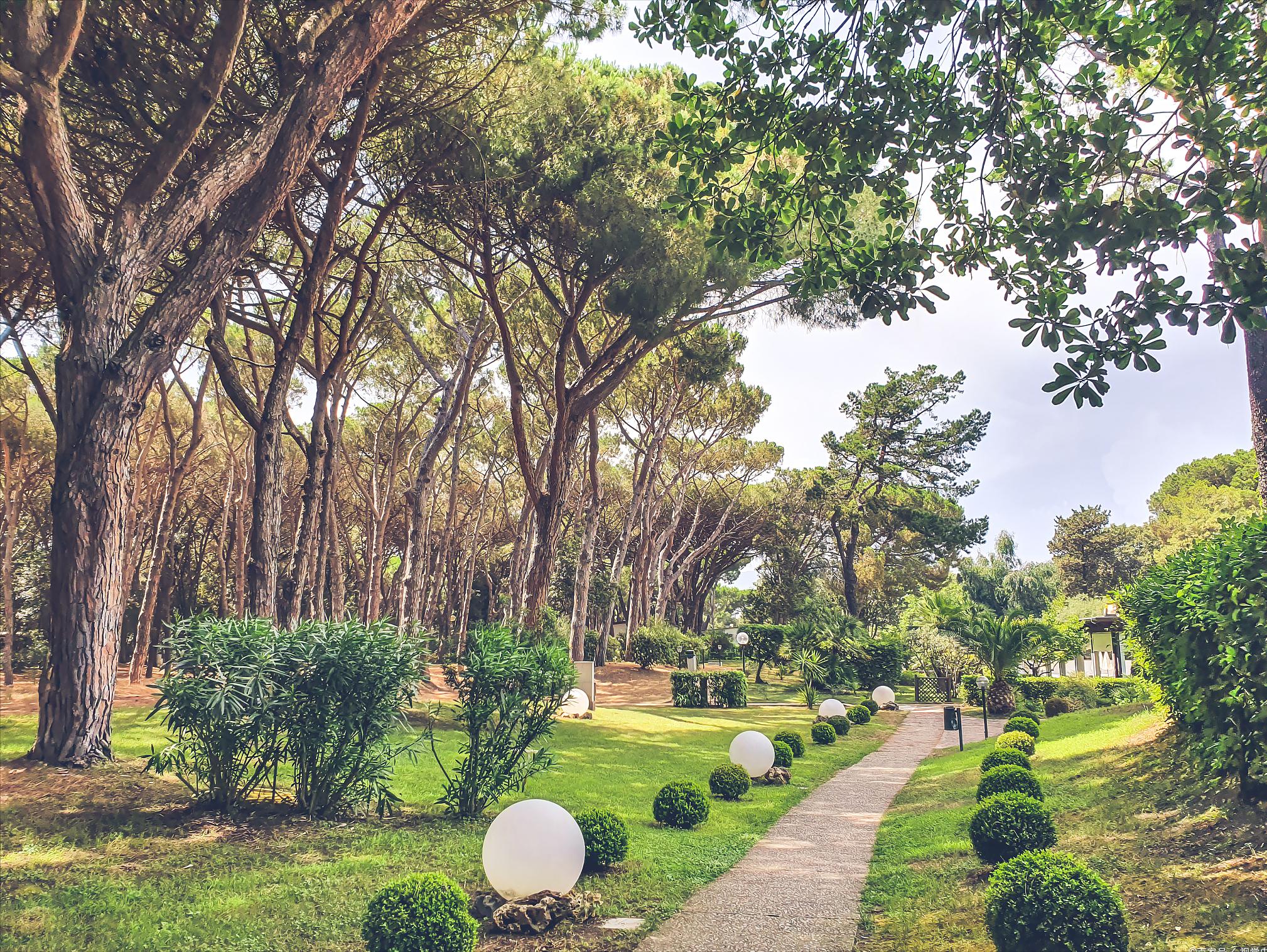 劳埃沙利文被雷击,沙利文避雷针