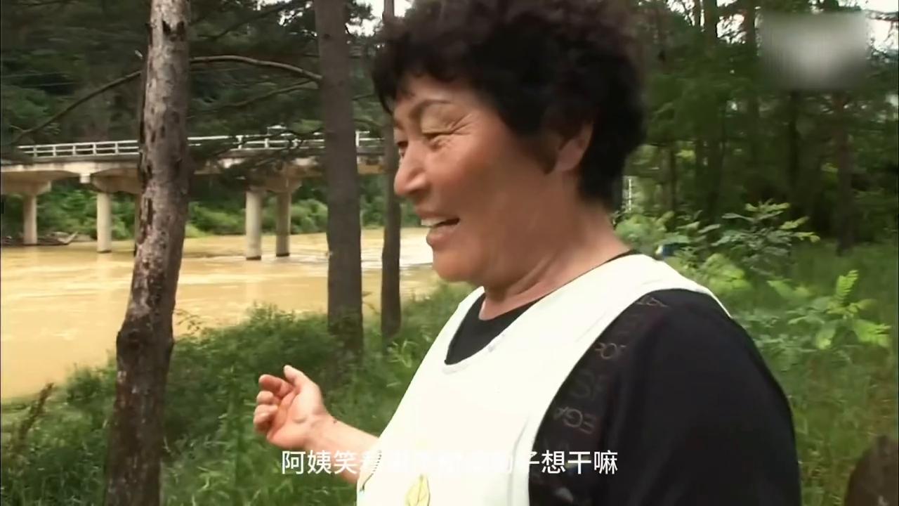 狗狗嘴巴叼着石头,狗狗一直啃石头