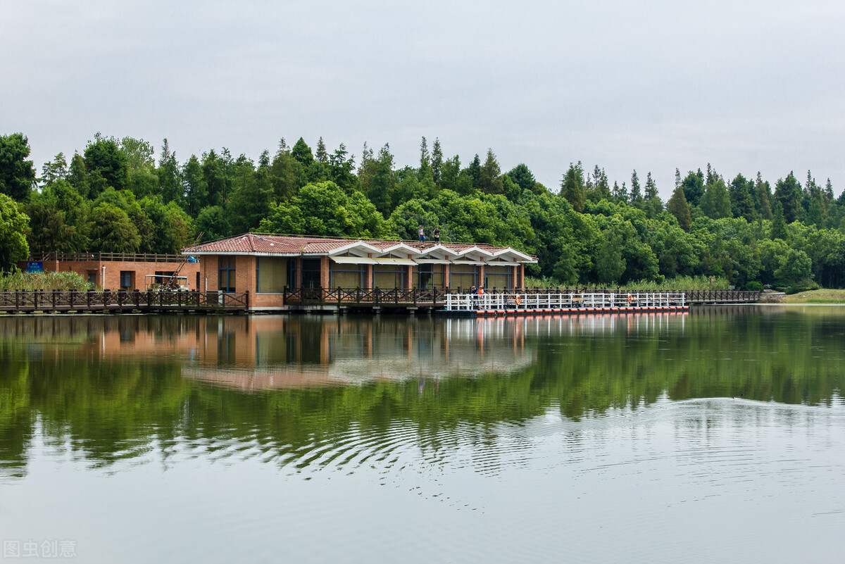 上海附近的森林秘境,上海惊现的森林秘境