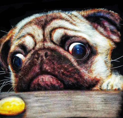 武汉市蔡甸区文艺大讲堂线上直播—盛焰镜画艺术人生