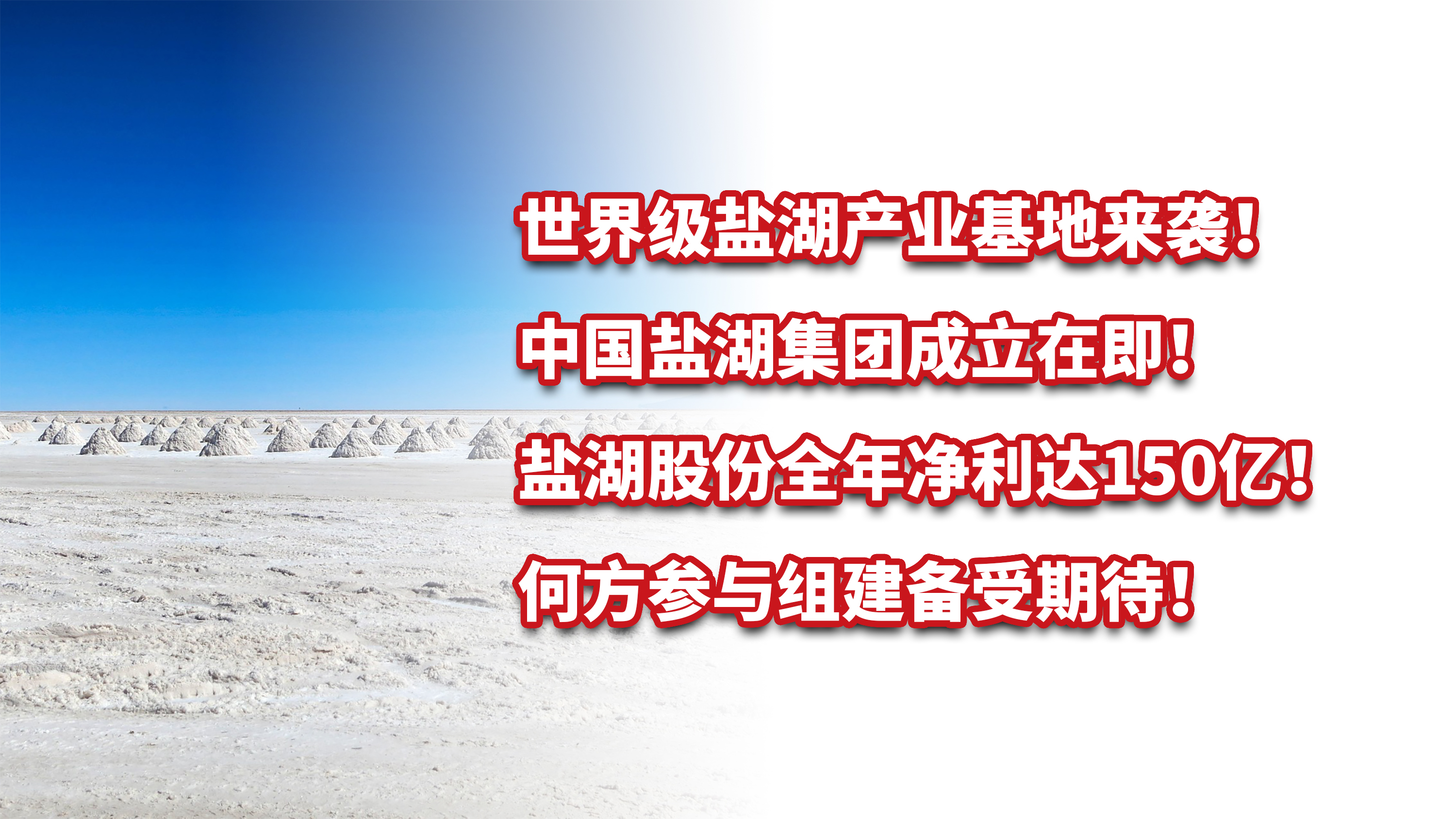 中国盐湖集团成立在即，盐湖股份全年净利达150亿！