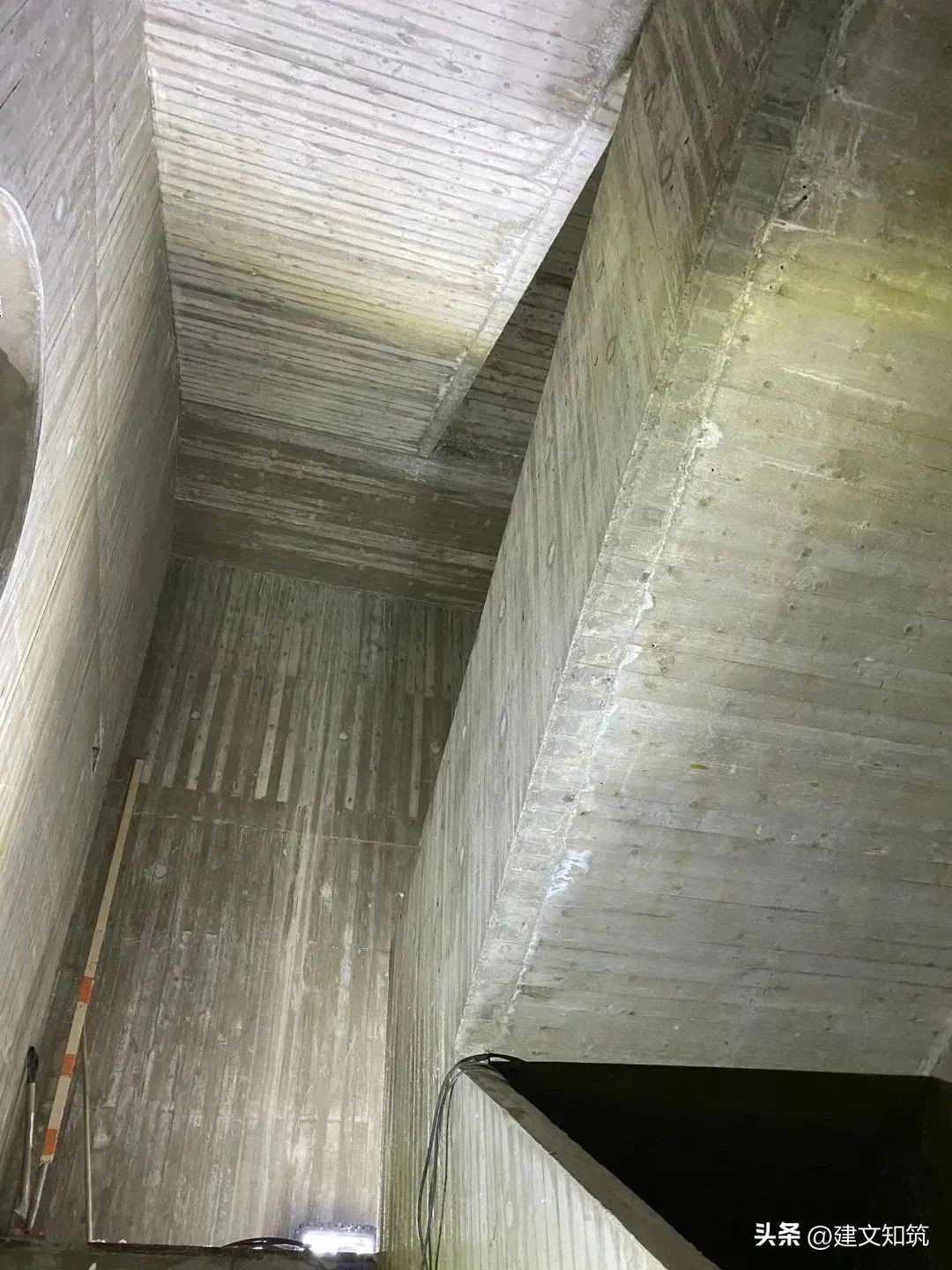 鑺叞璧皵杈涘熀鑸炶箞,鑺叞璧皵杈涘熀鏂囧寲寤虹瓚