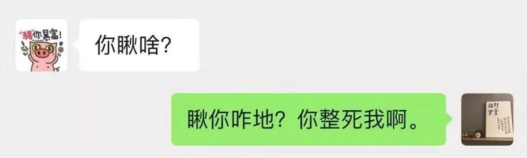 东北万物皆可蘸酱顺口溜,东北万物皆可冻简介