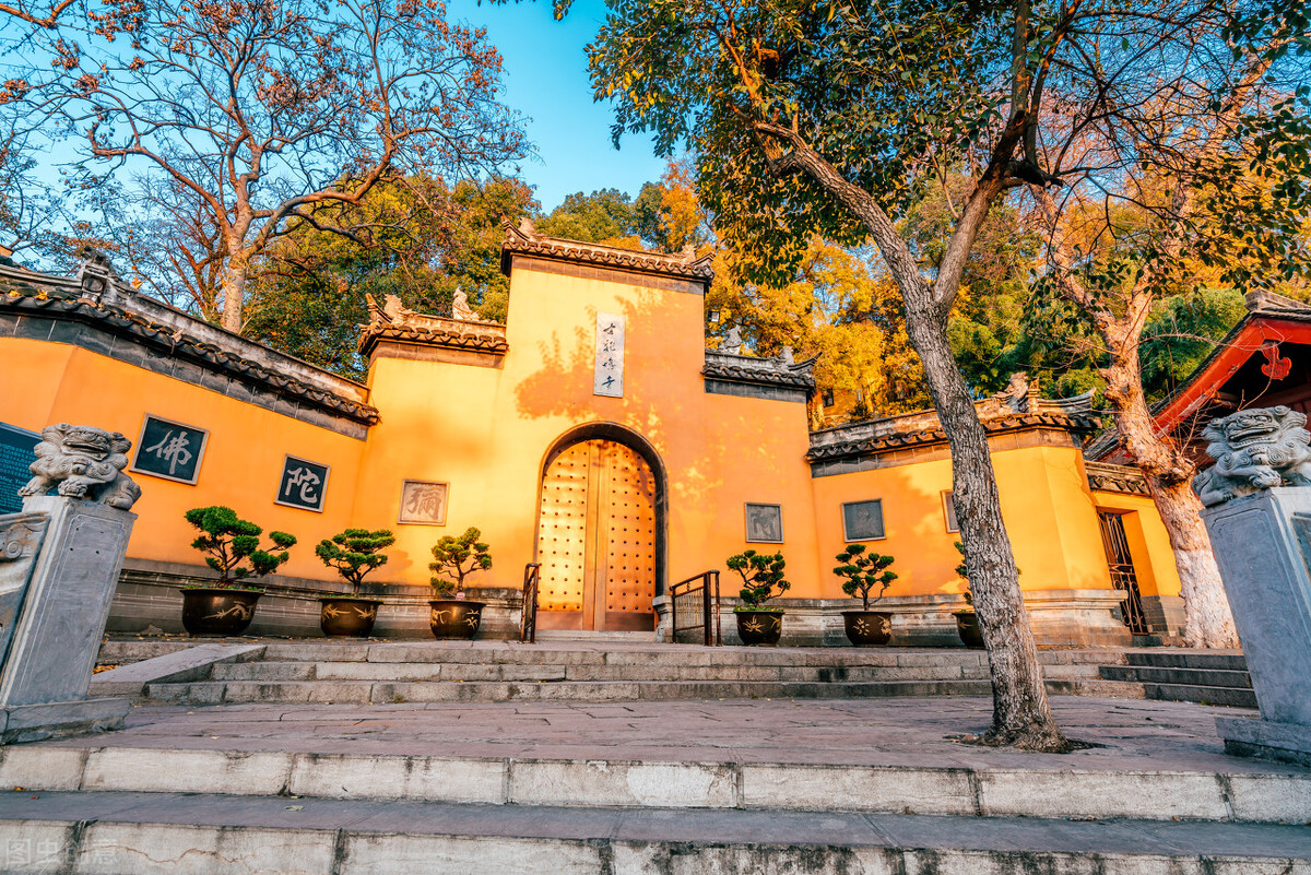 成为高手必须学什么,成为高手必学会的招数