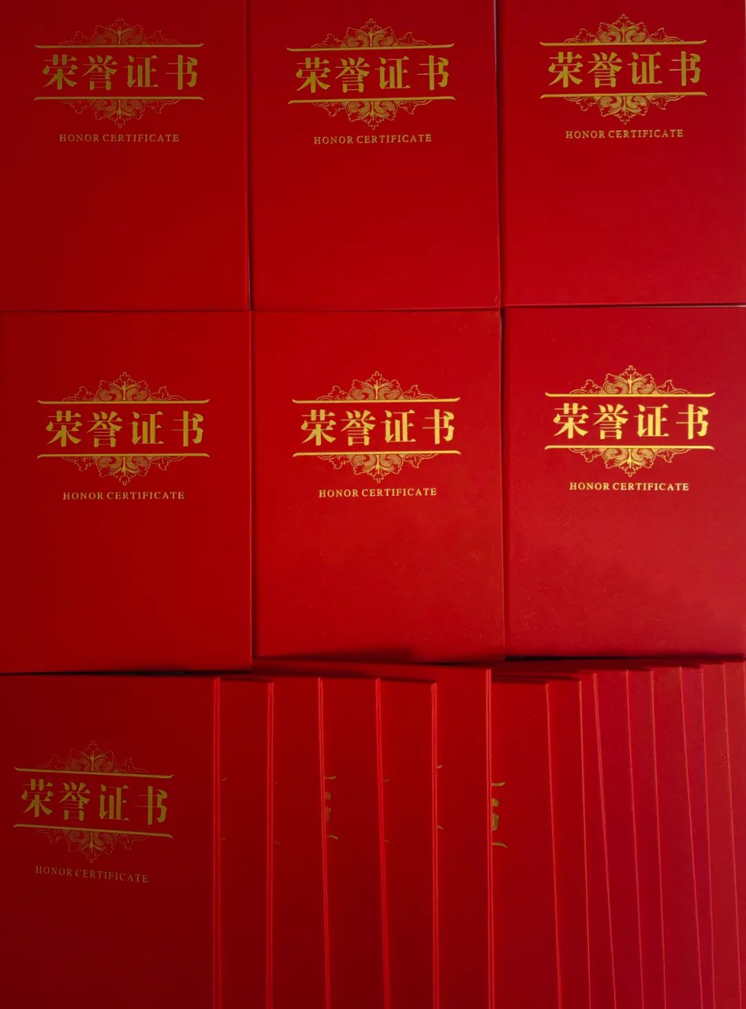 佛山市元甲学校官网,佛山市元甲学校